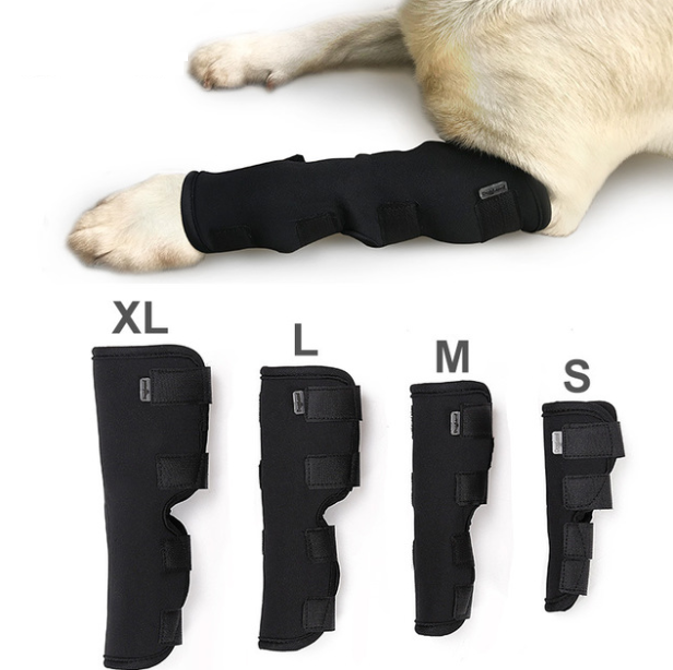 Dog Leggings Injury Prevention Licking