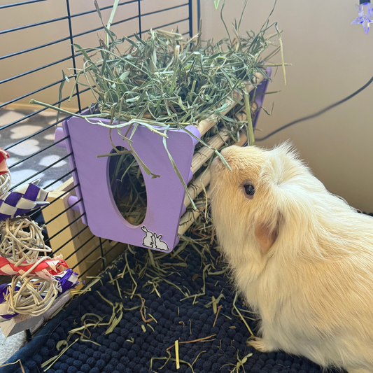 Hay Rack - Pastel Purple