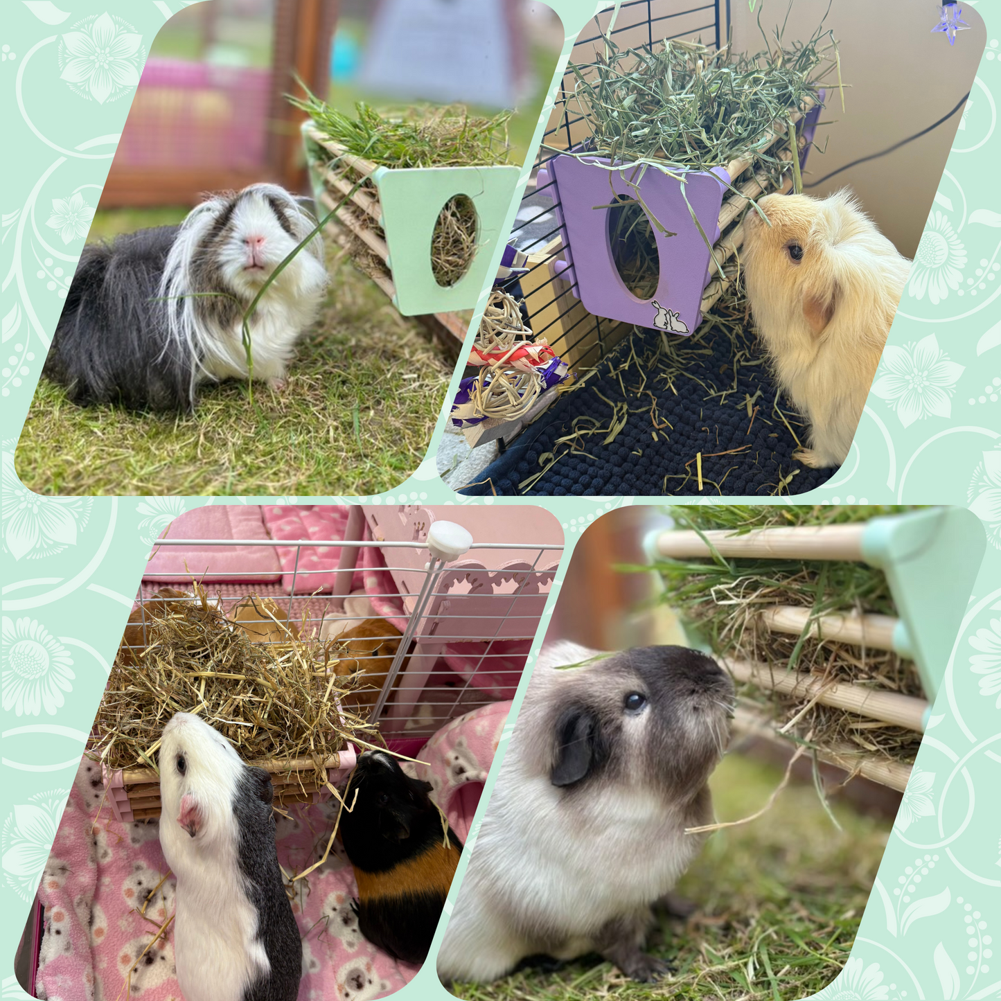 Hay Rack - Pastel Blue