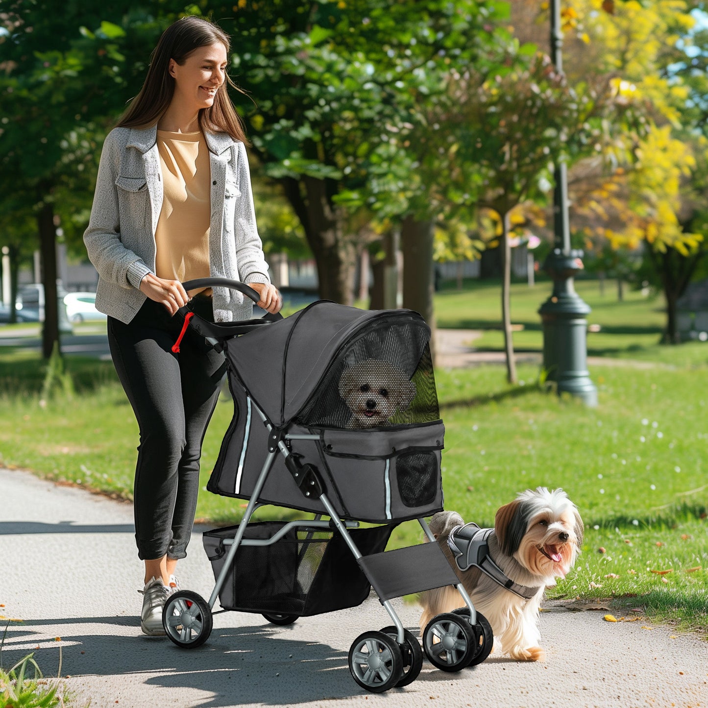 PawHut Foldable Pet Stroller for Small and Miniature Dog in Dark Grey
