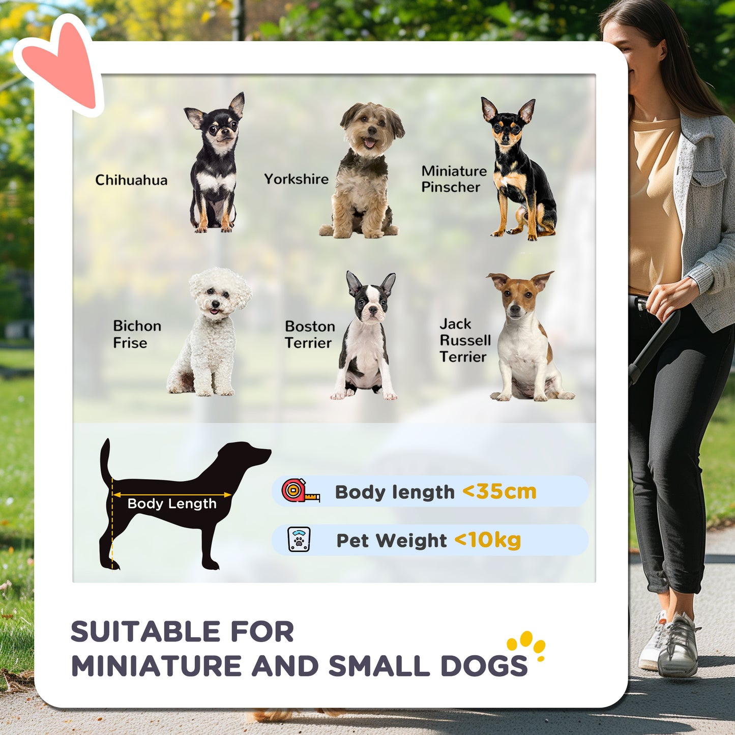 PawHut Foldable Pet Stroller for Small and Miniature Dog in Dark Grey
