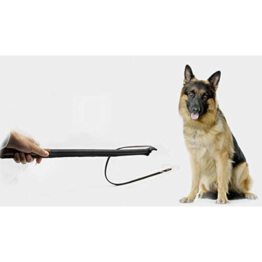 Dog Training Whip Leather