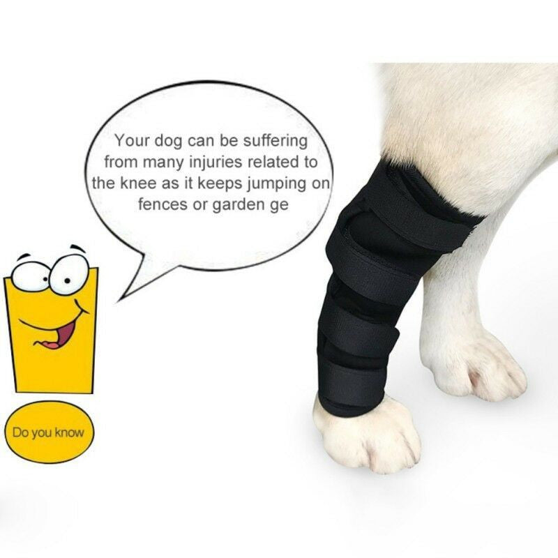 Dog Leggings Injury Prevention Licking