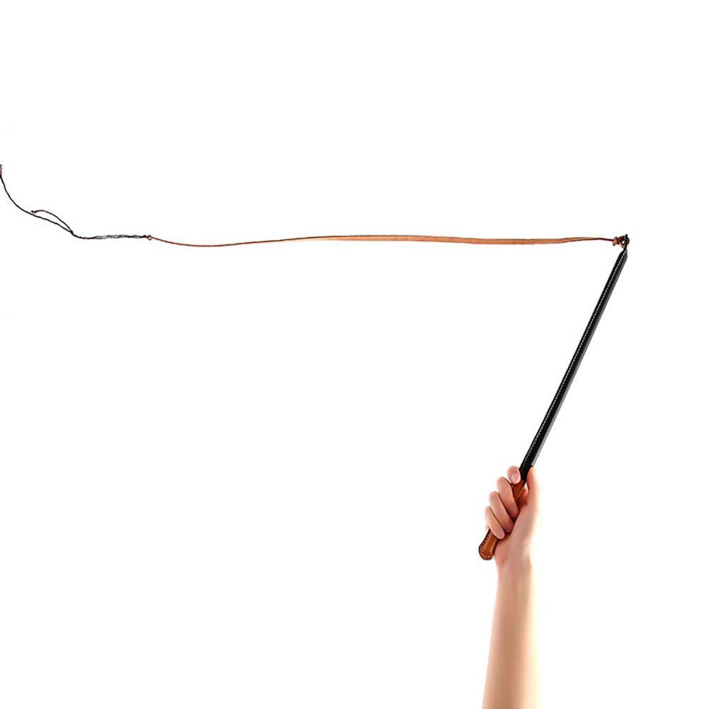 Dog Training Whip Leather