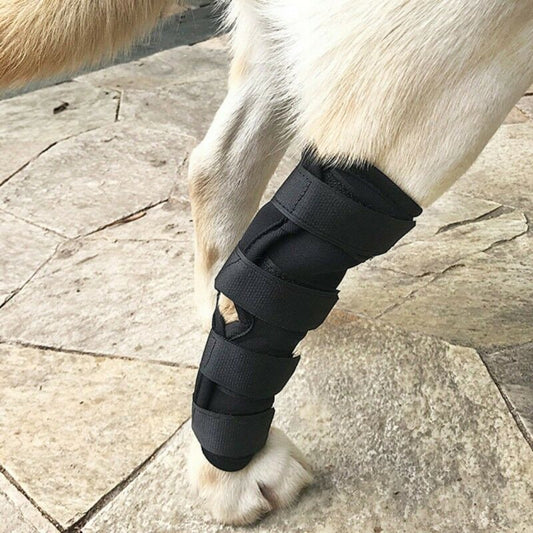 Dog Leggings Injury Prevention Licking